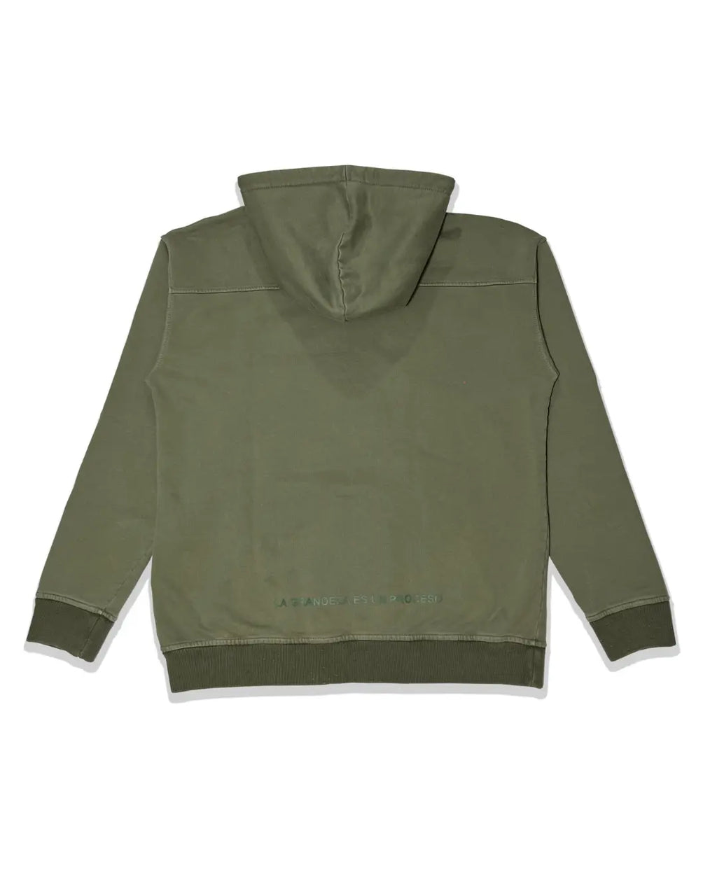 Hoodie Designio Verde