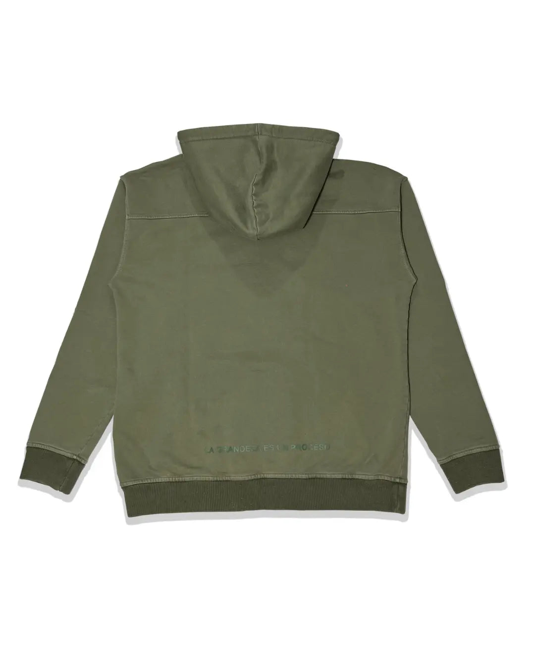 Hoodie Designio Verde