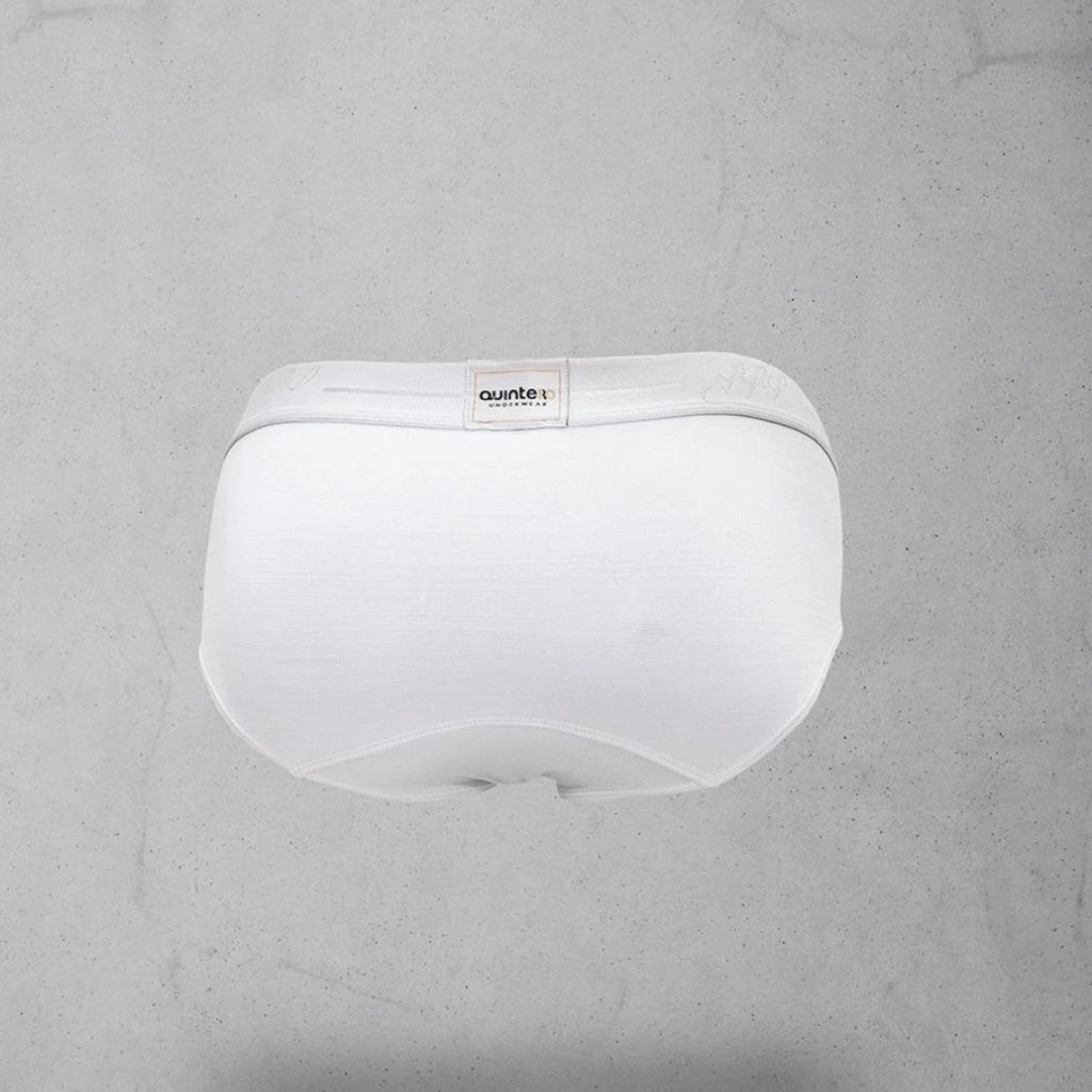 WHITE BLASIC MELLA Q10 BRIEF