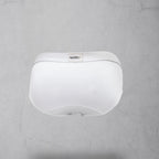 WHITE BLASIC MELLA Q10 BRIEF